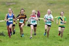 Greens start 2, North-East Harriers League, Cramlington